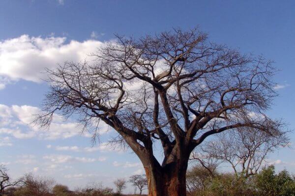 Owamboland: Holiday In Namibia With A Difference