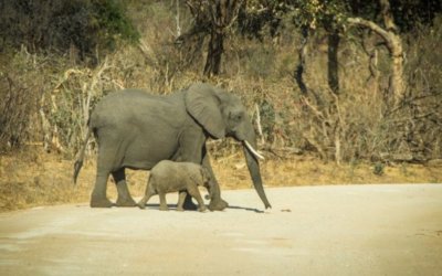 Lodges in Namibia