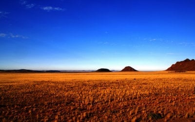 Weird and Wonderful Namibia
