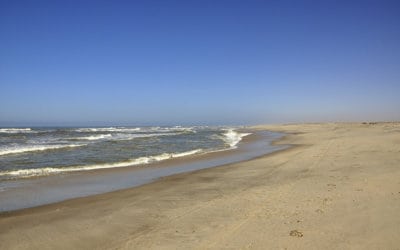 The harsh climate of the Atlantic Coast of Namibia