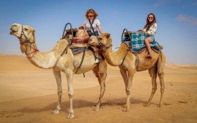 Sailing across the Namib on only one hump