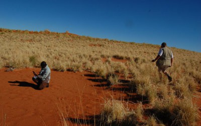 Investing in Namibia’s Future – The Amarula Trust