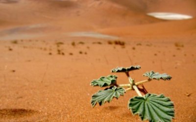 Tourism in Namibia