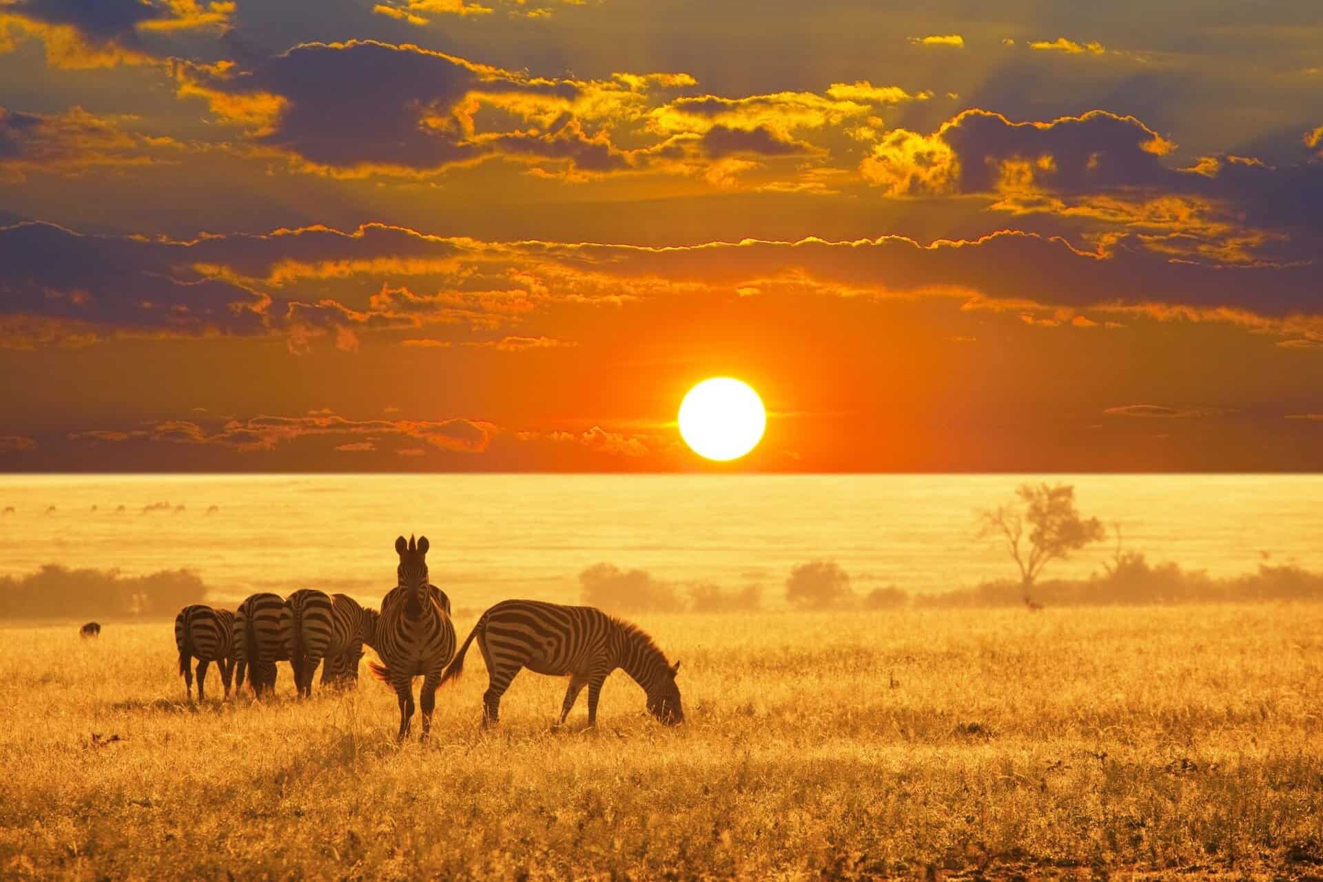 Etosha National Park in Namibia