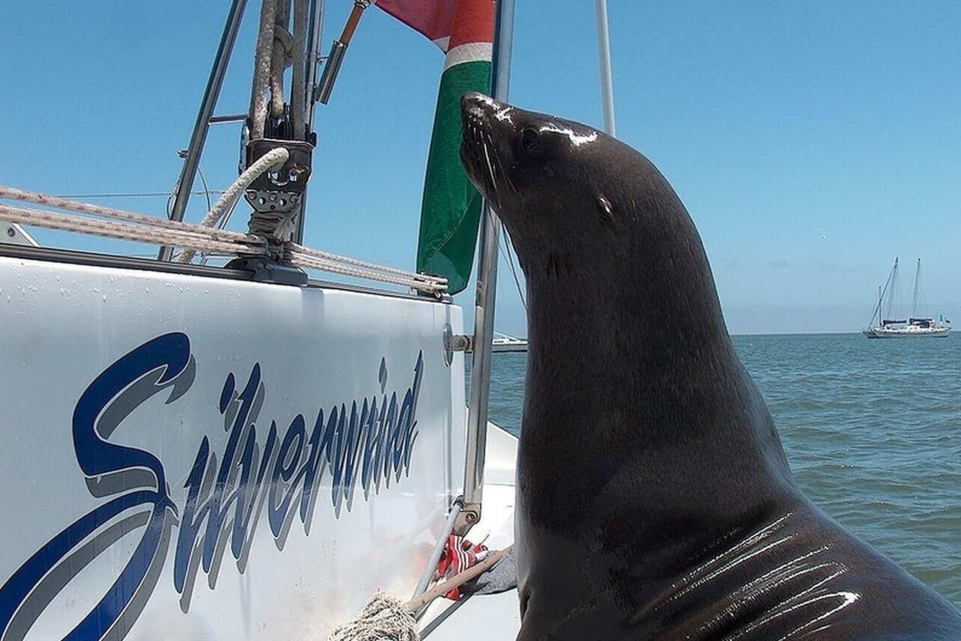 Boat tours in Namibia