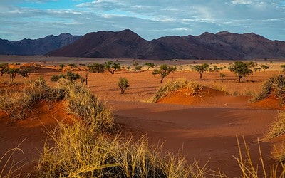 All The Best Reasons To Visit The Namib Desert