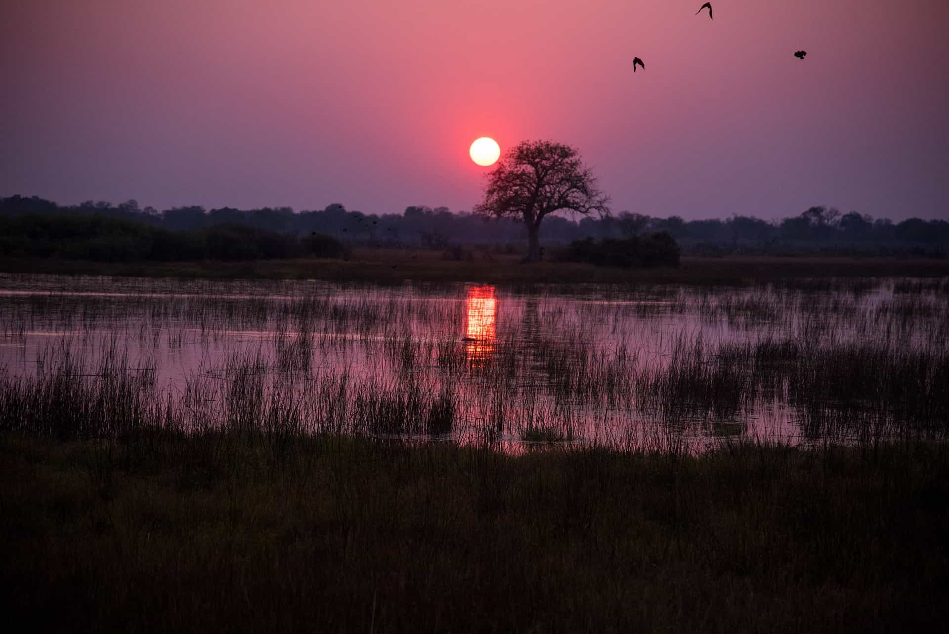 Botswana in Africa