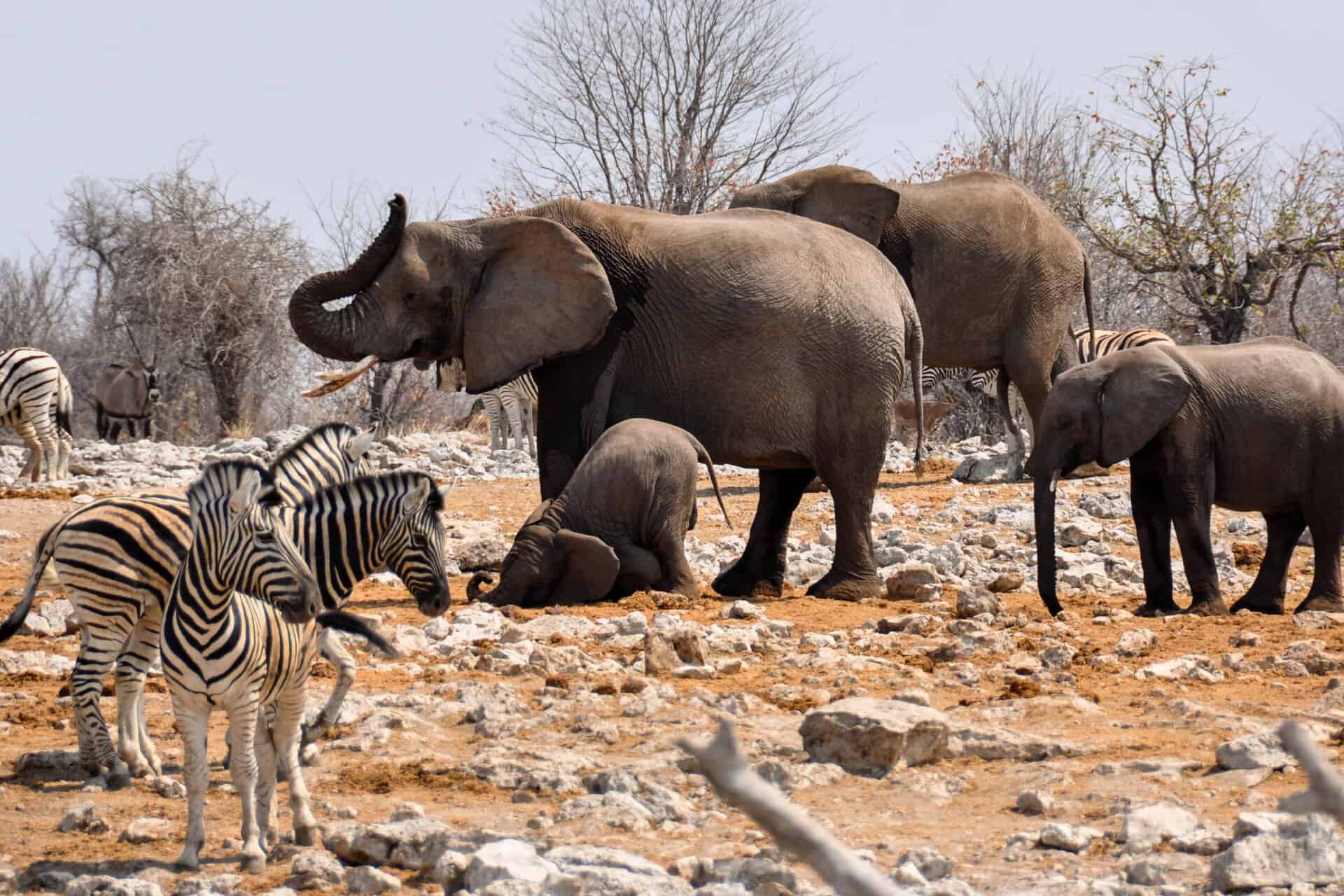 Namibia in Africa