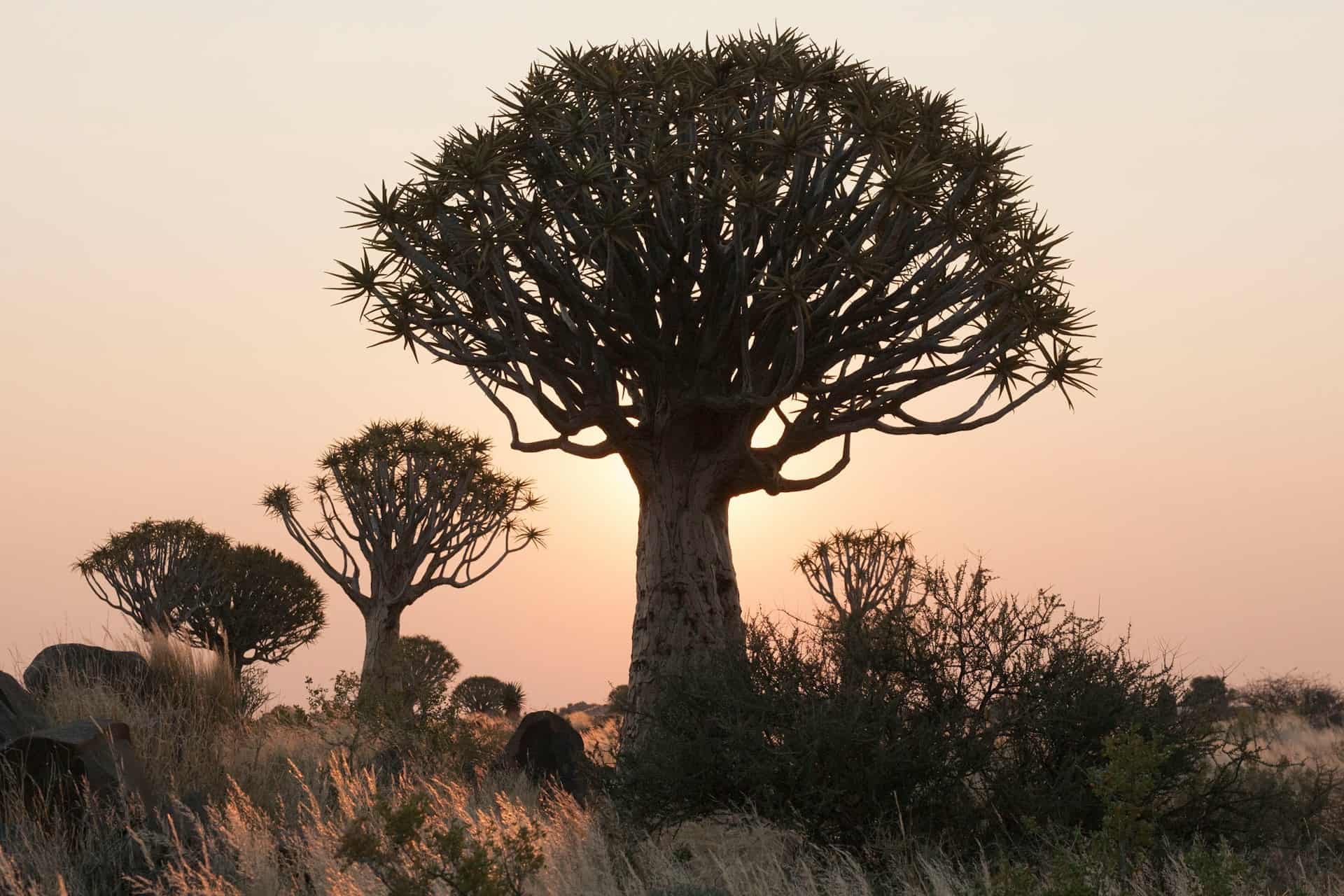 Keetmanshoop - Cities & Towns in Namibia Keetmanshoop - Cities & Towns in Namibia