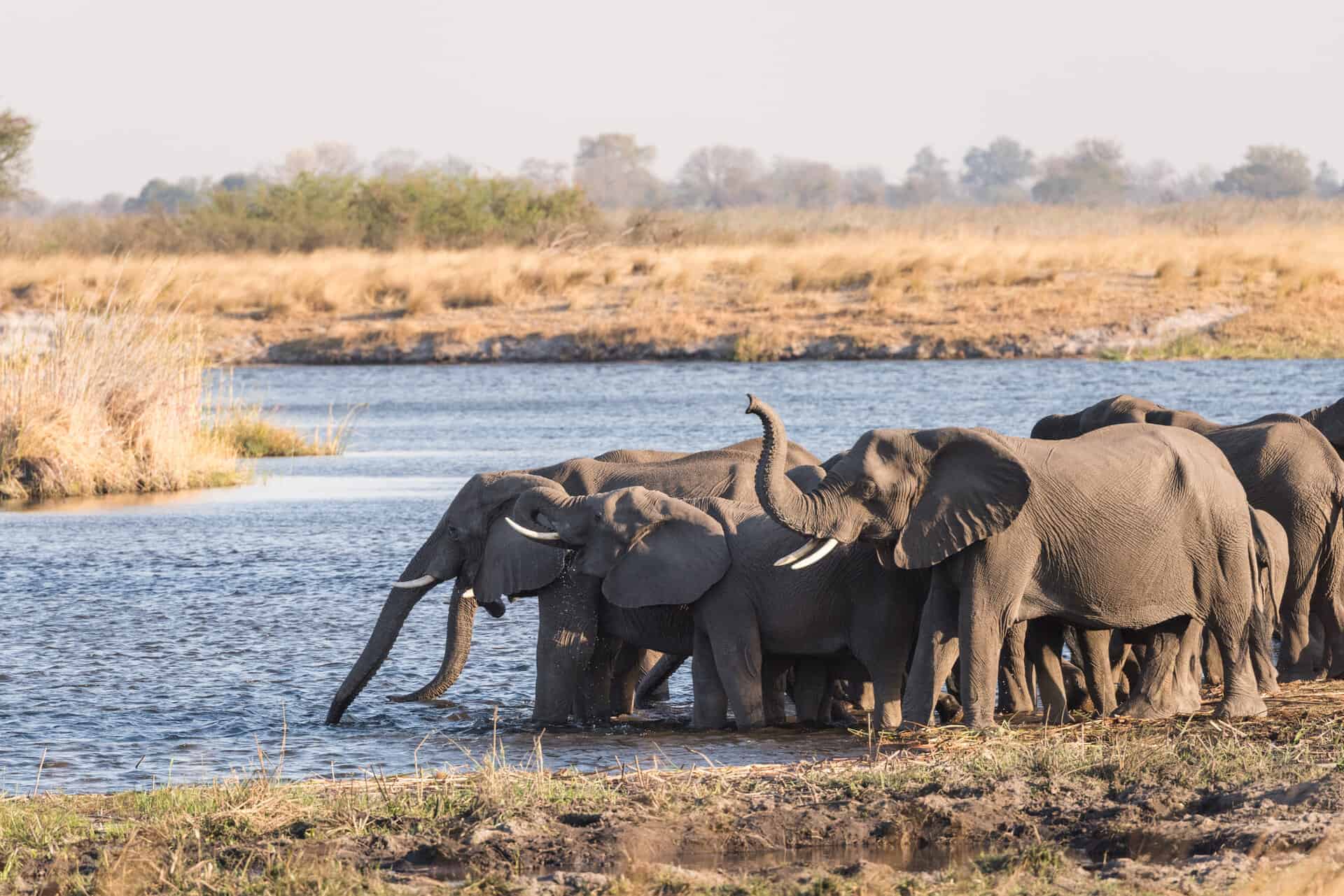 Bwabwata-National-Park-in-Namibia-2-1