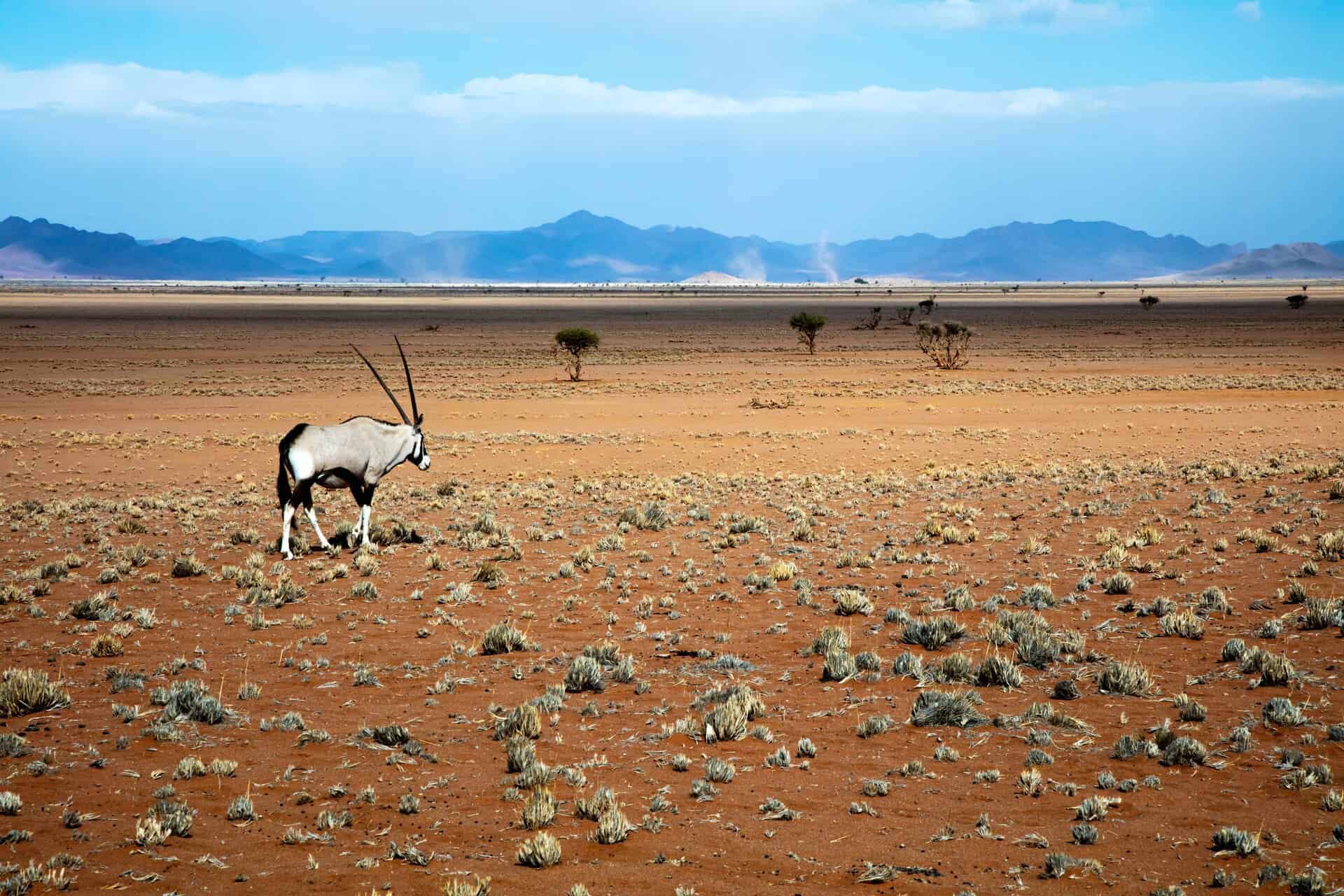 Namib-Naukluft-National-Park-National-Parks-In-Namibia-2-1